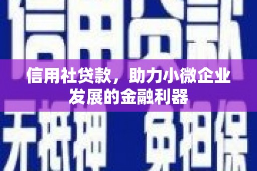 闵行信用社贷款，助力小微企业发展的金融利器