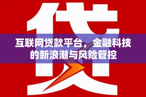 闵行互联网贷款平台，金融科技的新浪潮与风险管控