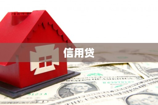 闵行信用贷