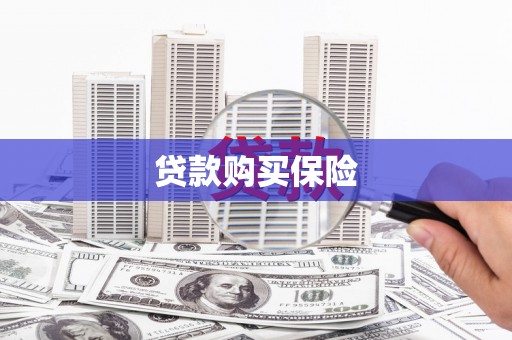 闵行贷款购买保险