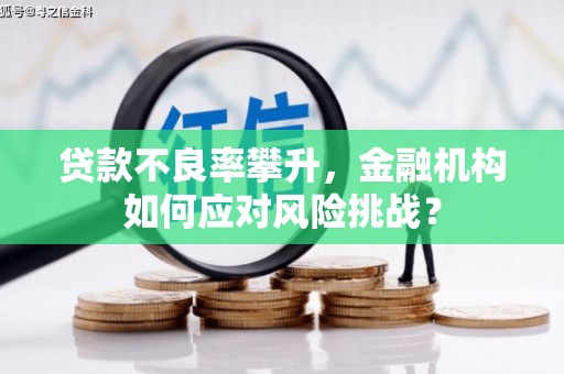 闵行贷款不良率攀升，金融机构如何应对风险挑战？