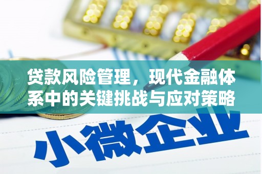 闵行贷款风险管理，现代金融体系中的关键挑战与应对策略