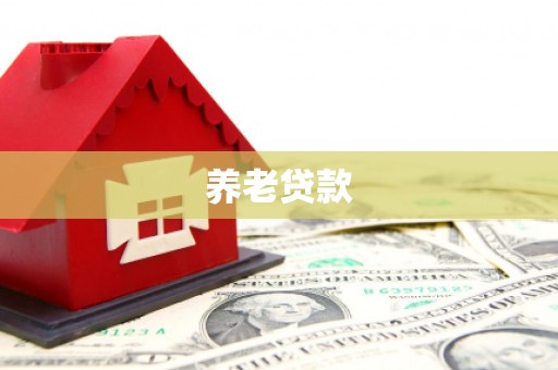 闵行养老贷款