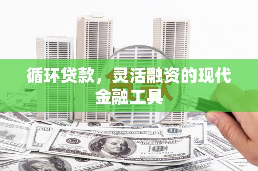 闵行循环贷款，灵活融资的现代金融工具