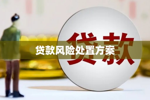 闵行贷款风险处置方案