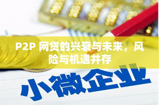闵行P2P 网贷的兴衰与未来，风险与机遇并存