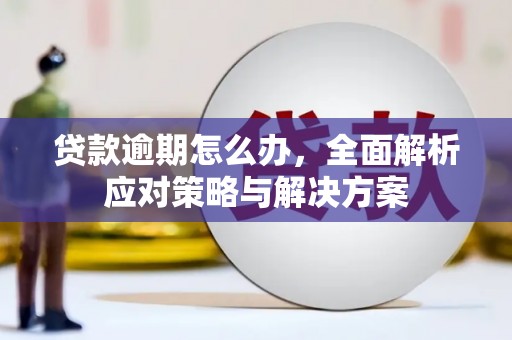 闵行贷款逾期怎么办，全面解析应对策略与解决方案