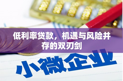 闵行低利率贷款，机遇与风险并存的双刃剑