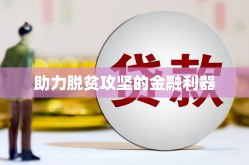 闵行助力脱贫攻坚的金融利器