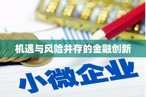 闵行机遇与风险并存的金融创新