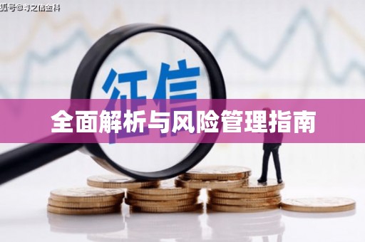 闵行全面解析与风险管理指南