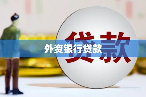 闵行外资银行贷款