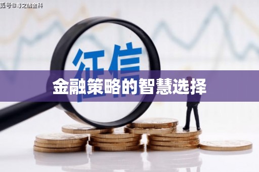 闵行金融策略的智慧选择