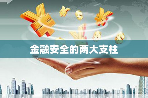 闵行金融安全的两大支柱