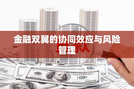 闵行金融双翼的协同效应与风险管理