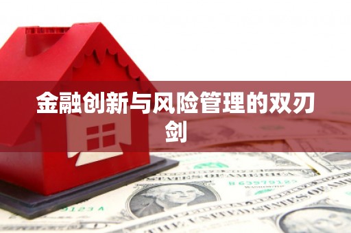 闵行金融创新与风险管理的双刃剑
