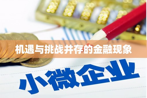 闵行机遇与挑战并存的金融现象