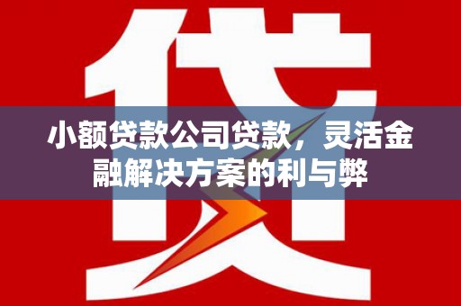 闵行小额贷款公司贷款，灵活金融解决方案的利与弊
