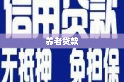 闵行养老贷款
